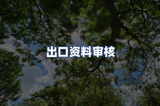 出口资料审核